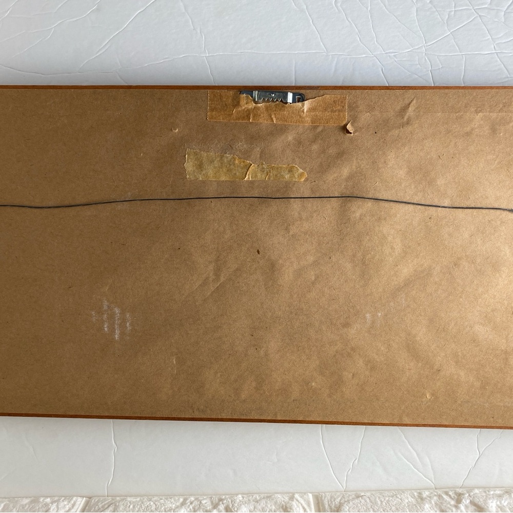 Historic St. Charles Avenue Street Car Framed Print Lewis New Orleans - Picture 3 of 5